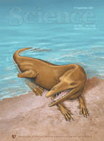 pakistanpaedia titanosaurs fossils in pakistan
